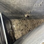 Dirt and insulation buildup inside HVAC blower compartment in Gilbert, AZ